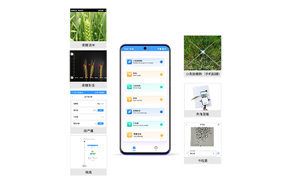 厦门市小麦表型检测仪IN-XM04